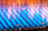 Branbridges gas fired boilers